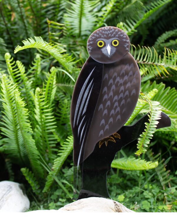 Ruru - the silent watcher in your garden