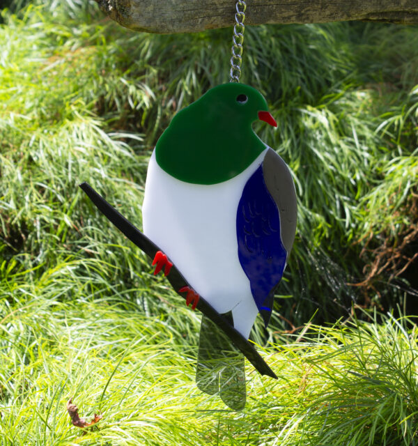 Kereru - NZ Wood Pidgeon