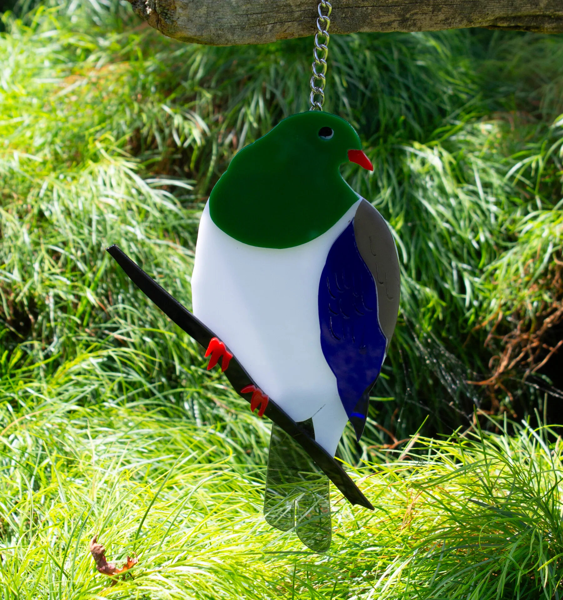 Kereru - NZ Wood Pidgeon