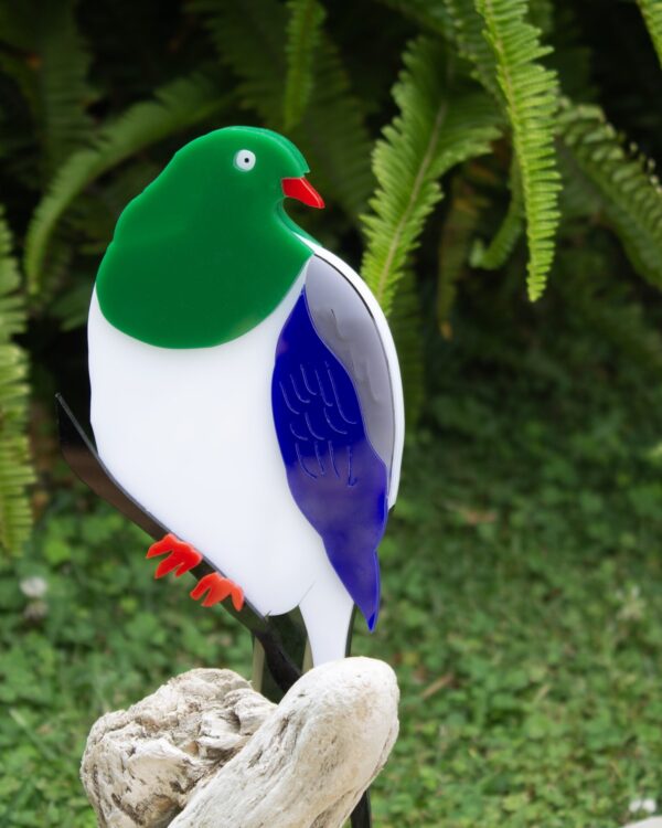 Kereru - NZ Wood Pidgeon - Image 2