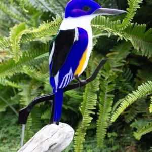 Kotare - NZ Kingfisher