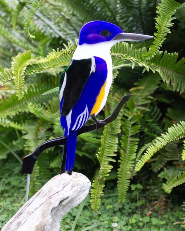 Kotare - NZ Kingfisher