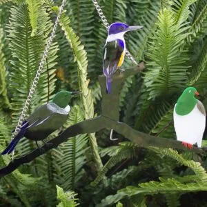 Native Birds on Branch