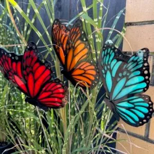 Resting Butterflies