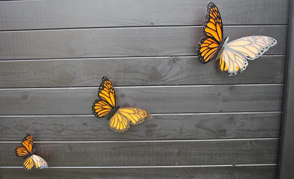 Wall- mounted butterflies - Image 2